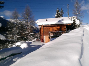 Chalet Edelweiss